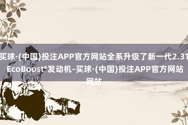 买球·(中国)投注APP官方网站全系升级了新一代2.3T EcoBoost®发动机-买球·(中国)投注APP官方网站