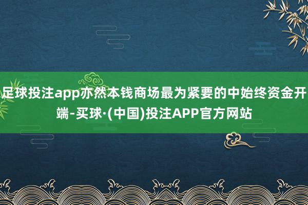 足球投注app亦然本钱商场最为紧要的中始终资金开端-买球·(中国)投注APP官方网站