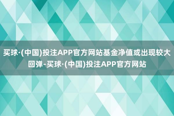 买球·(中国)投注APP官方网站基金净值或出现较大回弹-买球·(中国)投注APP官方网站