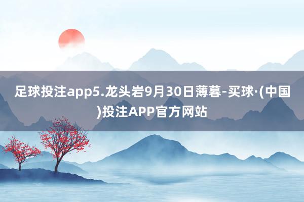 足球投注app5.龙头岩9月30日薄暮-买球·(中国)投注APP官方网站