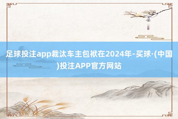 足球投注app裁汰车主包袱在2024年-买球·(中国)投注APP官方网站