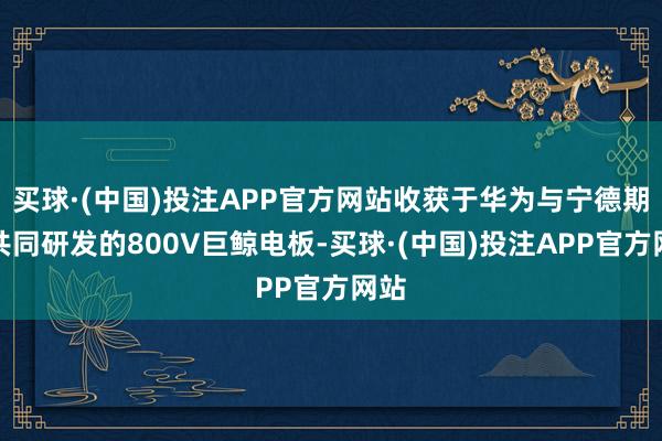 买球·(中国)投注APP官方网站收获于华为与宁德期间共同研发的800V巨鲸电板-买球·(中国)投注APP官方网站