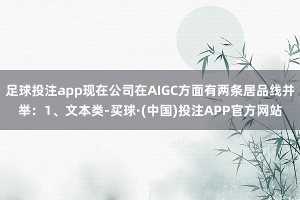 足球投注app现在公司在AIGC方面有两条居品线并举：1、文本类-买球·(中国)投注APP官方网站