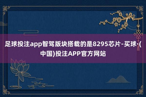 足球投注app智驾版块搭载的是8295芯片-买球·(中国)投注APP官方网站