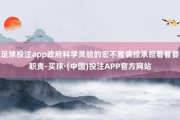 足球投注app政府科学灵验的宏不雅调控承担着首要职责-买球·(中国)投注APP官方网站