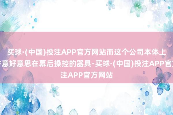 买球·(中国)投注APP官方网站而这个公司本体上成了许意好意思在幕后操控的器具-买球·(中国)投注APP官方网站