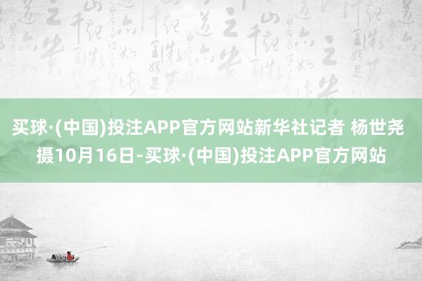 买球·(中国)投注APP官方网站新华社记者 杨世尧 摄10月16日-买球·(中国)投注APP官方网站