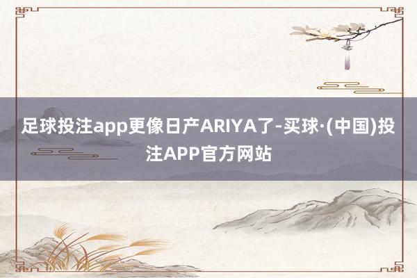 足球投注app更像日产ARIYA了-买球·(中国)投注APP官方网站