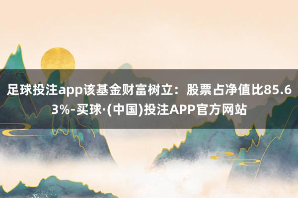 足球投注app该基金财富树立：股票占净值比85.63%-买球·(中国)投注APP官方网站