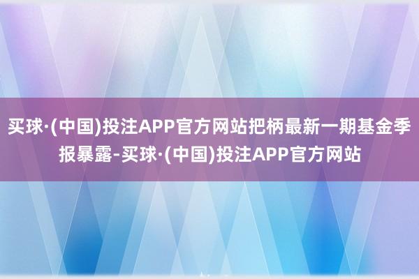 买球·(中国)投注APP官方网站把柄最新一期基金季报暴露-买球·(中国)投注APP官方网站