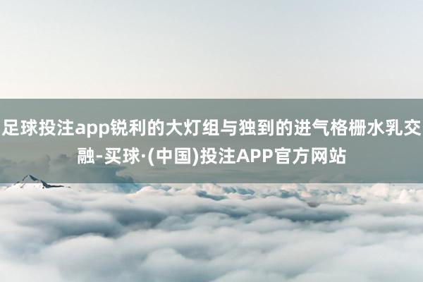 足球投注app锐利的大灯组与独到的进气格栅水乳交融-买球·(中国)投注APP官方网站