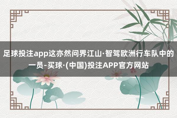 足球投注app这亦然问界江山·智驾欧洲行车队中的一员-买球·(中国)投注APP官方网站