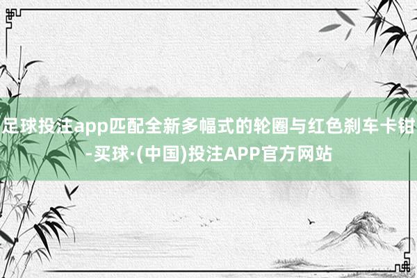 足球投注app匹配全新多幅式的轮圈与红色刹车卡钳-买球·(中国)投注APP官方网站