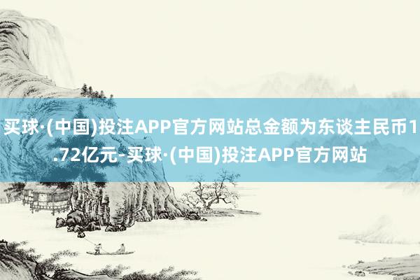 买球·(中国)投注APP官方网站总金额为东谈主民币1.72亿元-买球·(中国)投注APP官方网站