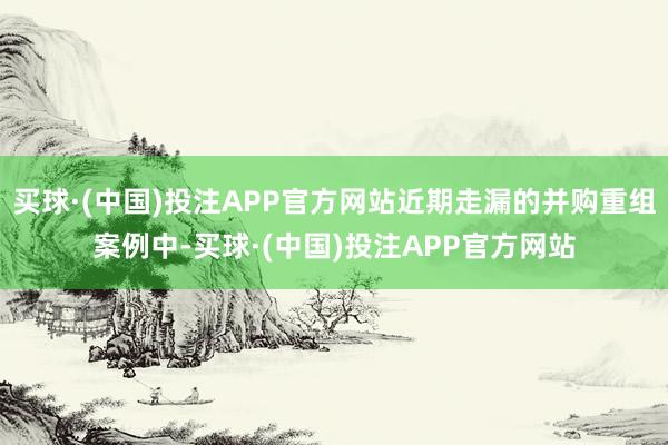 买球·(中国)投注APP官方网站近期走漏的并购重组案例中-买球·(中国)投注APP官方网站