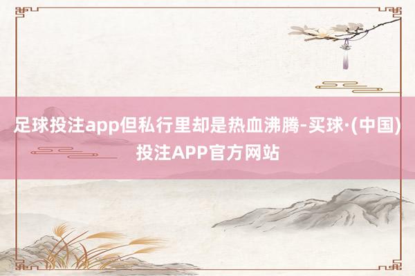 足球投注app但私行里却是热血沸腾-买球·(中国)投注APP官方网站