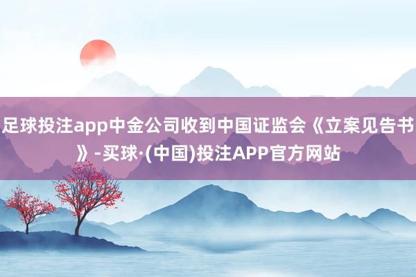 足球投注app中金公司收到中国证监会《立案见告书》-买球·(中国)投注APP官方网站