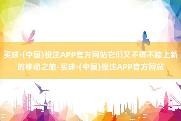 买球·(中国)投注APP官方网站它们又不得不踏上新的移动之旅-买球·(中国)投注APP官方网站