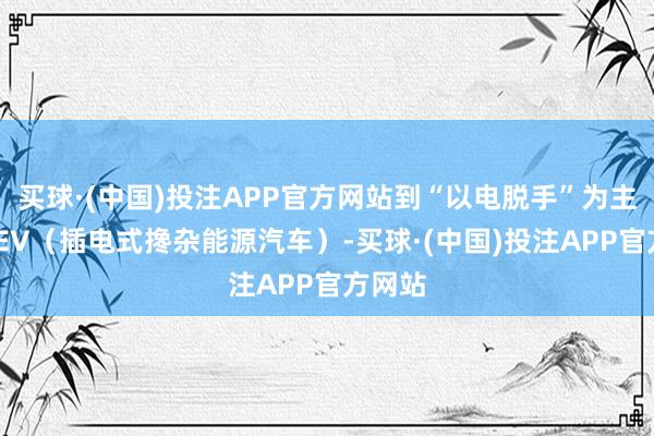 买球·(中国)投注APP官方网站到“以电脱手”为主的PHEV（插电式搀杂能源汽车）-买球·(中国)投注APP官方网站