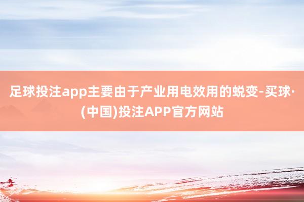 足球投注app主要由于产业用电效用的蜕变-买球·(中国)投注APP官方网站