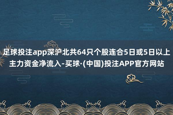 足球投注app深沪北共64只个股连合5日或5日以上主力资金净流入-买球·(中国)投注APP官方网站