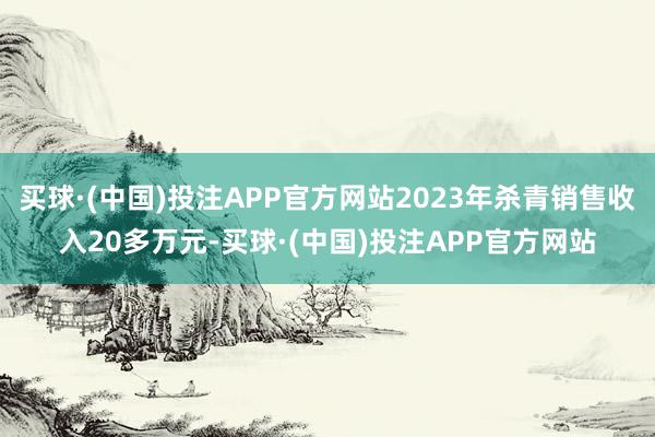 买球·(中国)投注APP官方网站2023年杀青销售收入20多万元-买球·(中国)投注APP官方网站