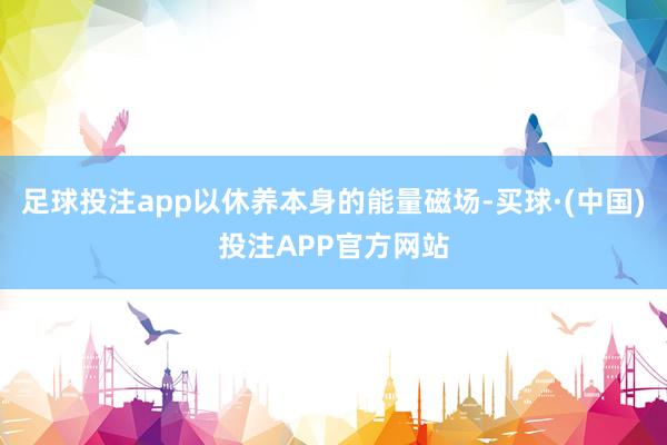 足球投注app以休养本身的能量磁场-买球·(中国)投注APP官方网站