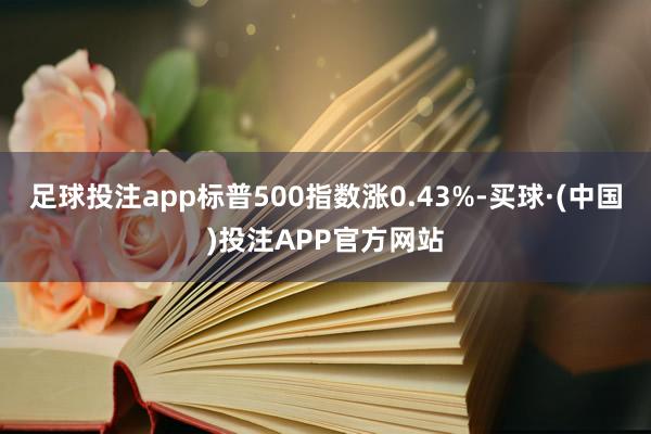 足球投注app标普500指数涨0.43%-买球·(中国)投注APP官方网站