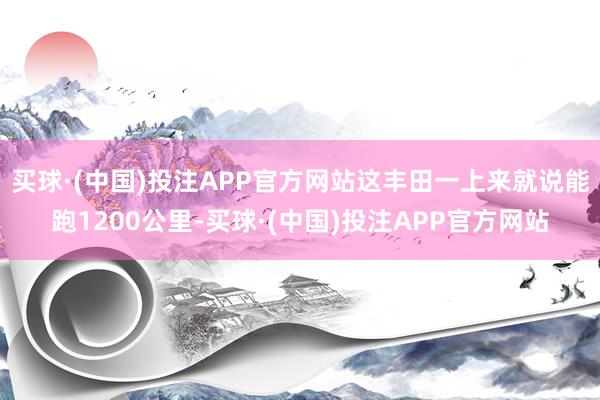 买球·(中国)投注APP官方网站这丰田一上来就说能跑1200公里-买球·(中国)投注APP官方网站