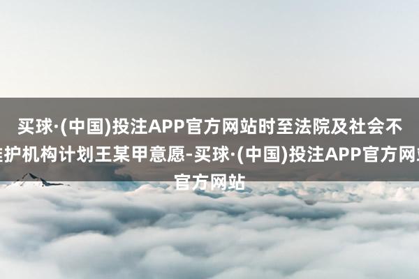 买球·(中国)投注APP官方网站时至法院及社会不雅护机构计划王某甲意愿-买球·(中国)投注APP官方网站