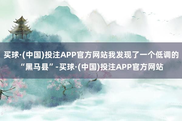 买球·(中国)投注APP官方网站我发现了一个低调的“黑马县”-买球·(中国)投注APP官方网站