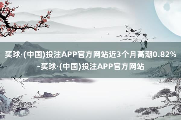 买球·(中国)投注APP官方网站近3个月高潮0.82%-买球·(中国)投注APP官方网站