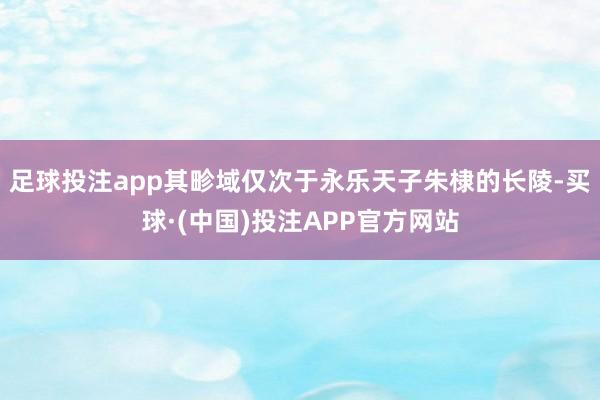 足球投注app其畛域仅次于永乐天子朱棣的长陵-买球·(中国)投注APP官方网站