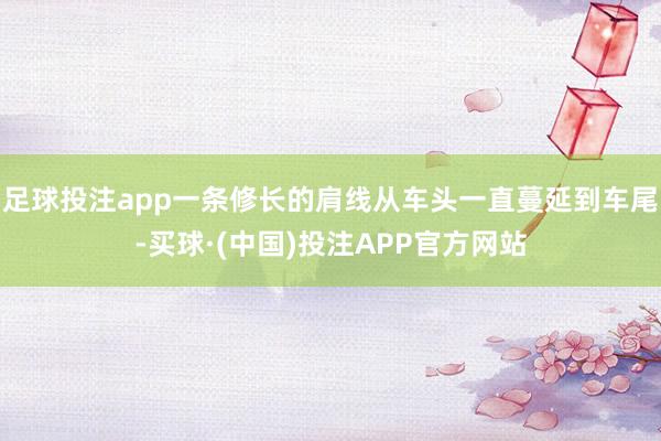 足球投注app一条修长的肩线从车头一直蔓延到车尾-买球·(中国)投注APP官方网站