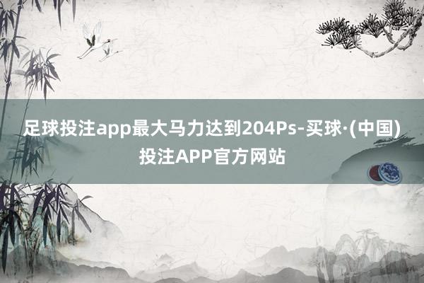 足球投注app最大马力达到204Ps-买球·(中国)投注APP官方网站