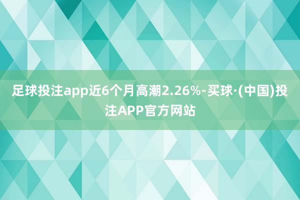 足球投注app近6个月高潮2.26%-买球·(中国)投注APP官方网站