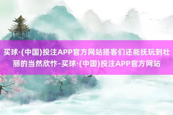 买球·(中国)投注APP官方网站搭客们还能抚玩到壮丽的当然欣忭-买球·(中国)投注APP官方网站