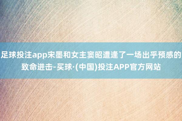 足球投注app宋墨和女主窦昭遭逢了一场出乎预感的致命进击-买球·(中国)投注APP官方网站