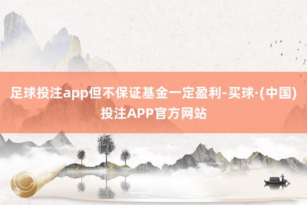 足球投注app但不保证基金一定盈利-买球·(中国)投注APP官方网站