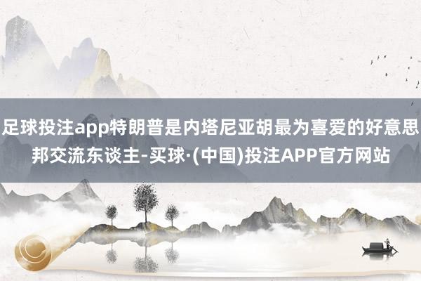 足球投注app特朗普是内塔尼亚胡最为喜爱的好意思邦交流东谈主-买球·(中国)投注APP官方网站