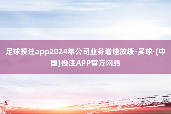 足球投注app2024年公司业务增速放缓-买球·(中国)投注APP官方网站