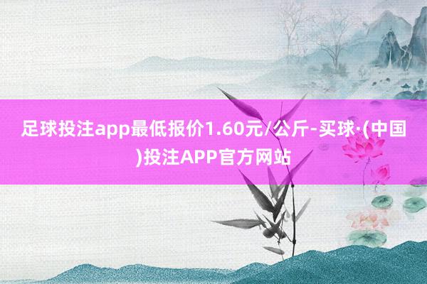 足球投注app最低报价1.60元/公斤-买球·(中国)投注APP官方网站