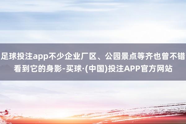 足球投注app不少企业厂区、公园景点等齐也曾不错看到它的身影-买球·(中国)投注APP官方网站