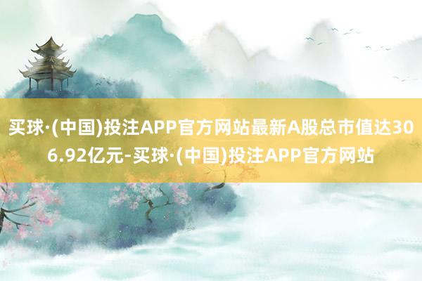 买球·(中国)投注APP官方网站最新A股总市值达306.92亿元-买球·(中国)投注APP官方网站