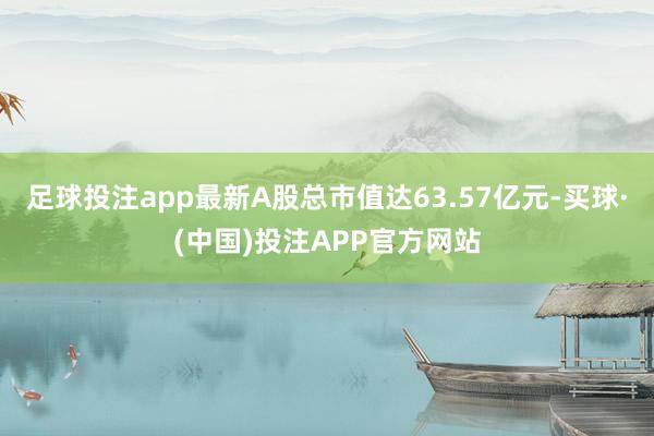 足球投注app最新A股总市值达63.57亿元-买球·(中国)投注APP官方网站