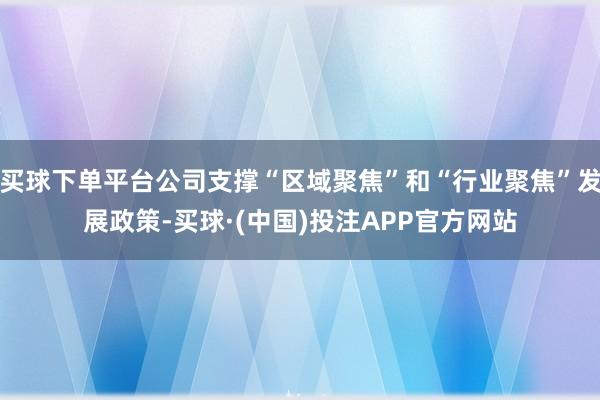 买球下单平台公司支撑“区域聚焦”和“行业聚焦”发展政策-买球·(中国)投注APP官方网站