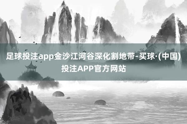 足球投注app金沙江河谷深化割地带-买球·(中国)投注APP官方网站