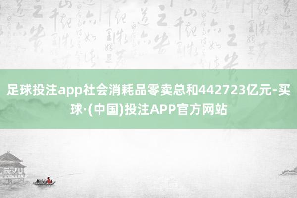 足球投注app社会消耗品零卖总和442723亿元-买球·(中国)投注APP官方网站