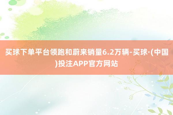 买球下单平台领跑和蔚来销量6.2万辆-买球·(中国)投注APP官方网站