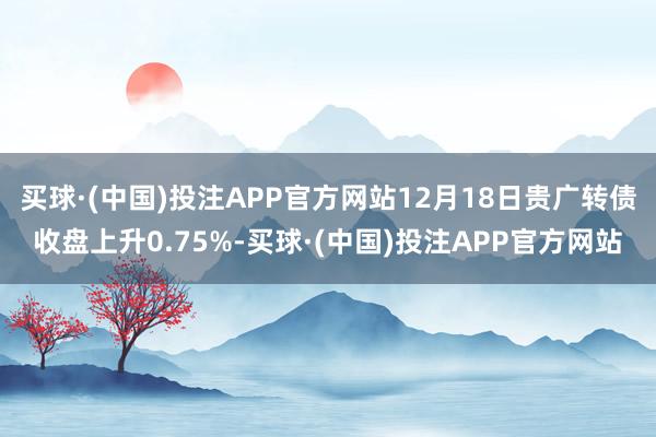 买球·(中国)投注APP官方网站12月18日贵广转债收盘上升0.75%-买球·(中国)投注APP官方网站